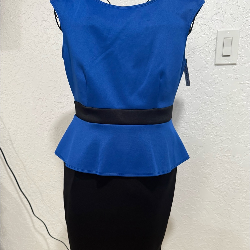 Studio Cobalt Blue Dress with Black Details